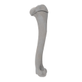 renderowanie kosci.389