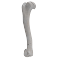renderowanie kosci.259