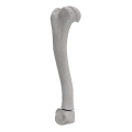renderowanie kosci.264