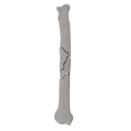 renderowanie kosci.283