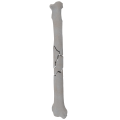 renderowanie kosci.287