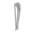 11-a2.568.png