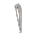 11-a2.578.png