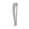 11-a2.580.png