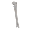 11-a2.598.png