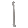 renderowanie kosci.282