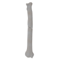 renderowanie kosci.268