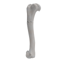 renderowanie kosci.239