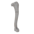 renderowanie kosci.238