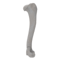 renderowanie kosci.248