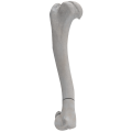 renderowanie kosci.254