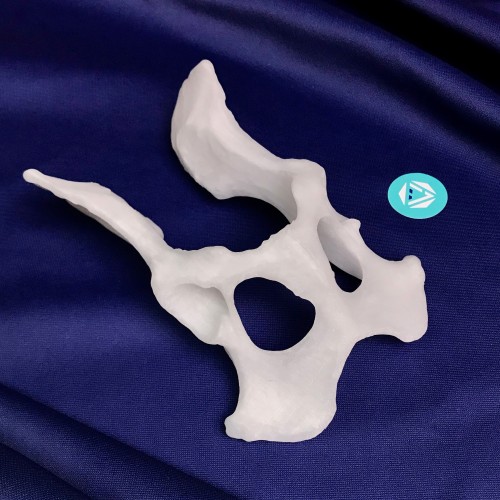 20200121_170747438_iOS