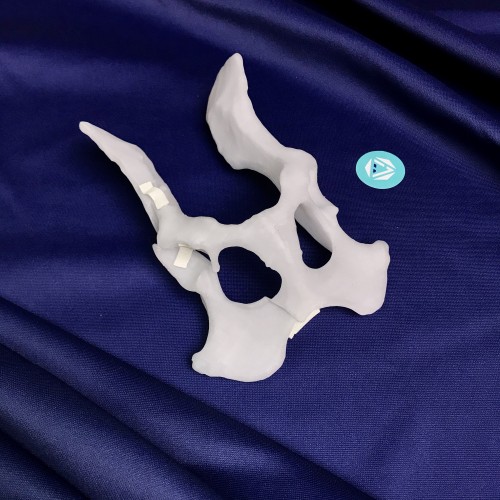 renderowanie kosci.230