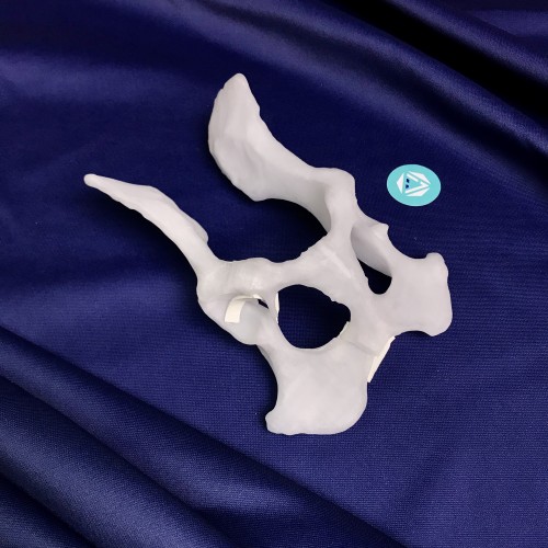 renderowanie kosci.227