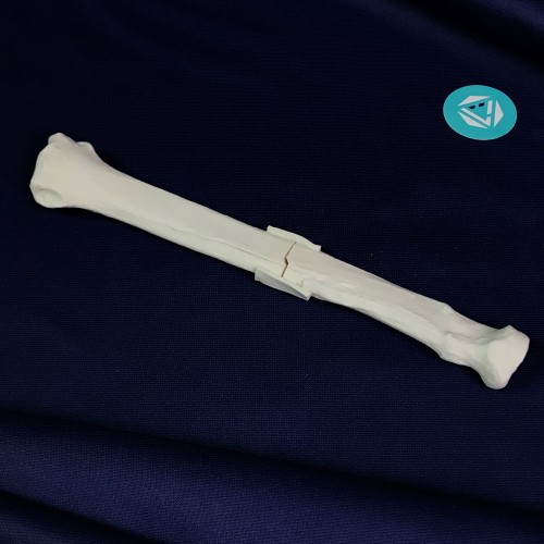 renderowanie kosci.268