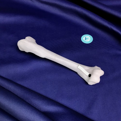 renderowanie kosci.395