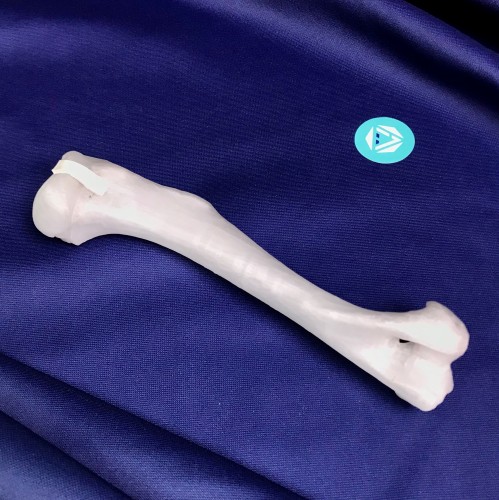renderowanie kosci.387