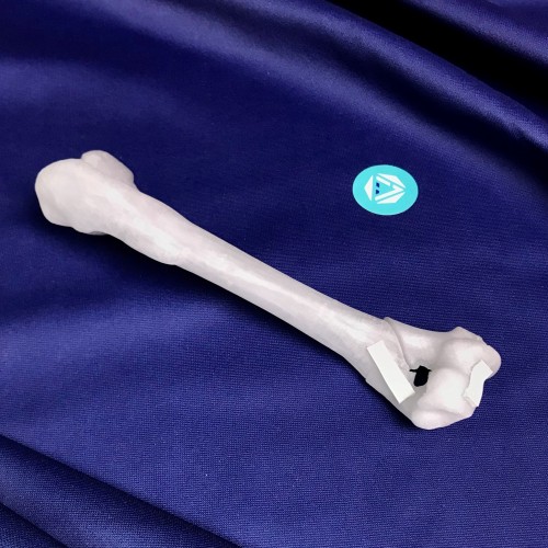 renderowanie kosci.260