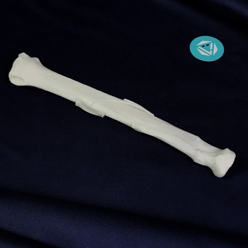renderowanie kosci.288