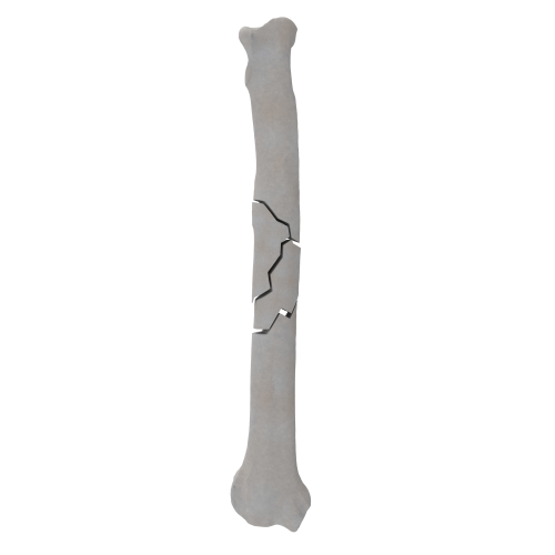 renderowanie kosci.283
