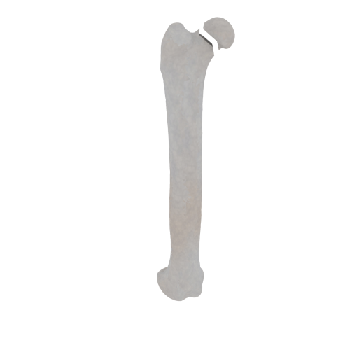 11-a2.467.png