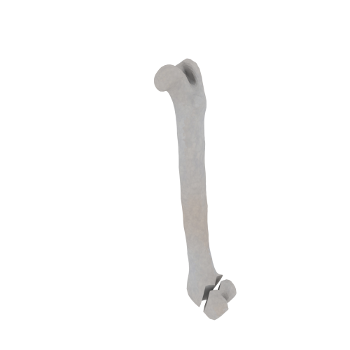 11-a2.551.png