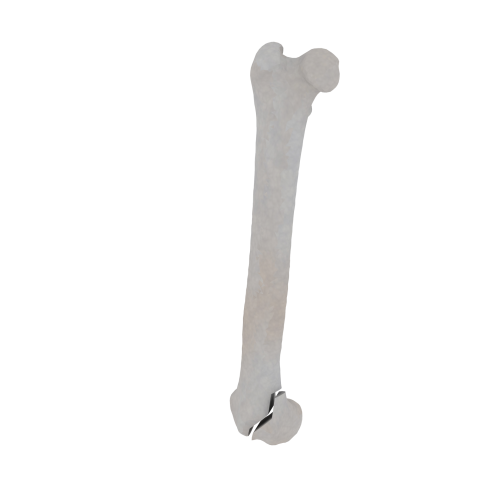 11-a2.533.png