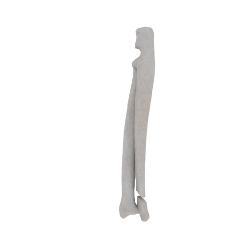 11-a2.390.png