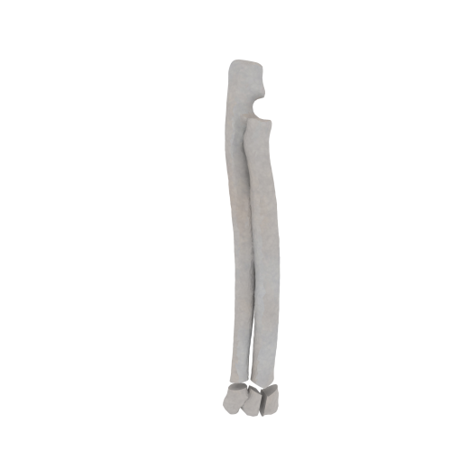 11-a2.401.png