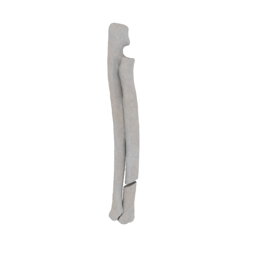 11-a2.365.png