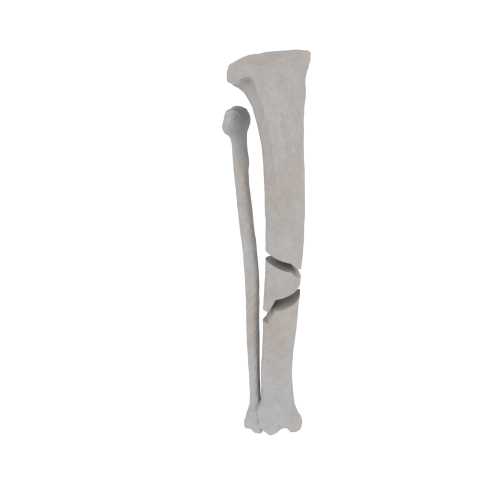 11-a2.601.png