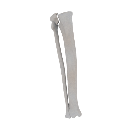 11-a2.576.png