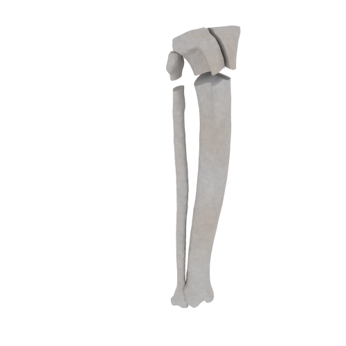 11-a2.596.png