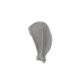 Scapula 03 1