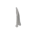 Scapula 05 3