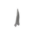 Scapula 06 4
