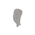 Scapula 06 1