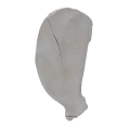Scapula 06 5