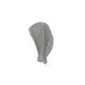 Scapula 07 1