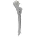 renderowanie kosci.401