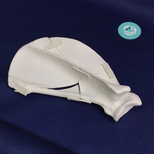 Scapula 04 1
