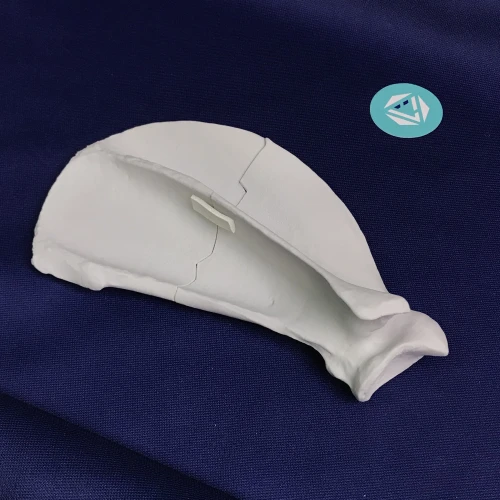 Scapula 05 5