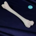 20200212_162822948_iOS