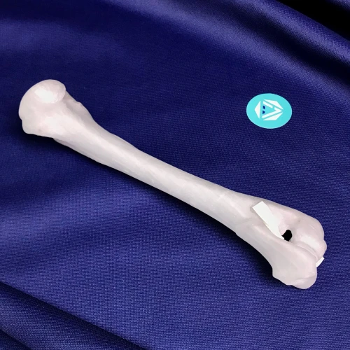 renderowanie kosci.255