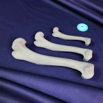 Basic Set of Models for Plates Contouring - Canine Left and Right Humerus