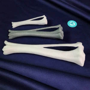 Basic Set of Models for Plates Contouring - Canine Left and Right Tibia and Fibula