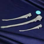 Basic Set of Models for Plates Contouring - Canine Left and Right Ulna