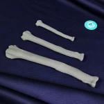 Basic Set of Models for Plates Contouring - Canine Left and Right Radius