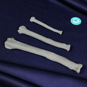 Basic Set of Models for Plates Contouring - Canine Left and Right Radius