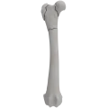 renderowanie kosci.194